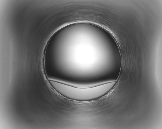 X0000089681534200706210804