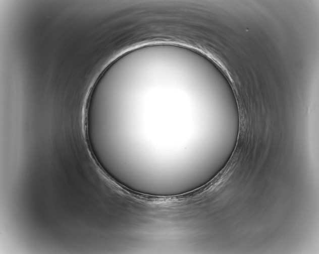 X0000089681535200706210804