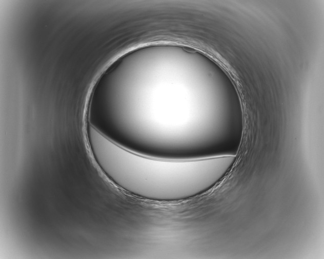 X0000089681536200706210804