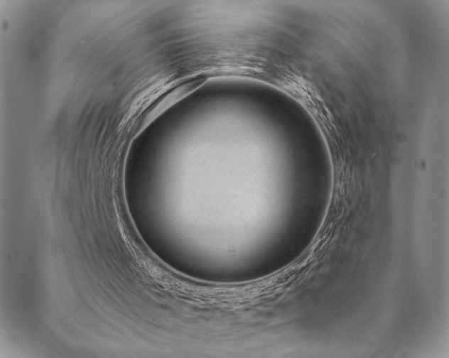 X0000089680001200706211236
