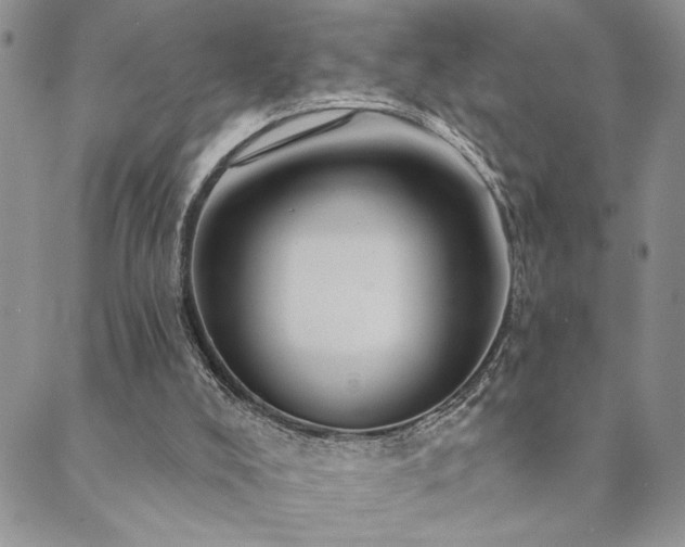 X0000089680008200706211236