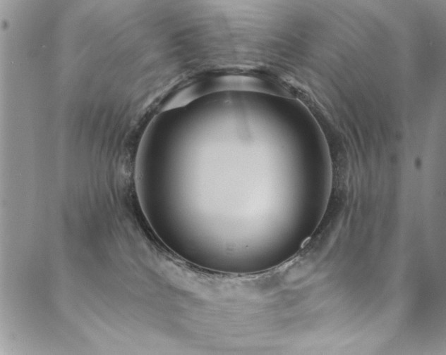 X0000089680040200706211236
