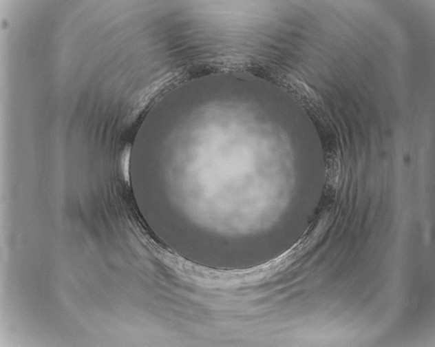 X0000089680047200706211236