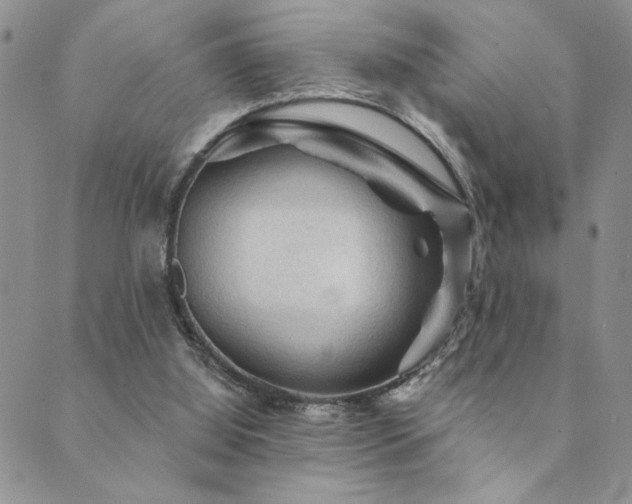 X0000089680060200706211235