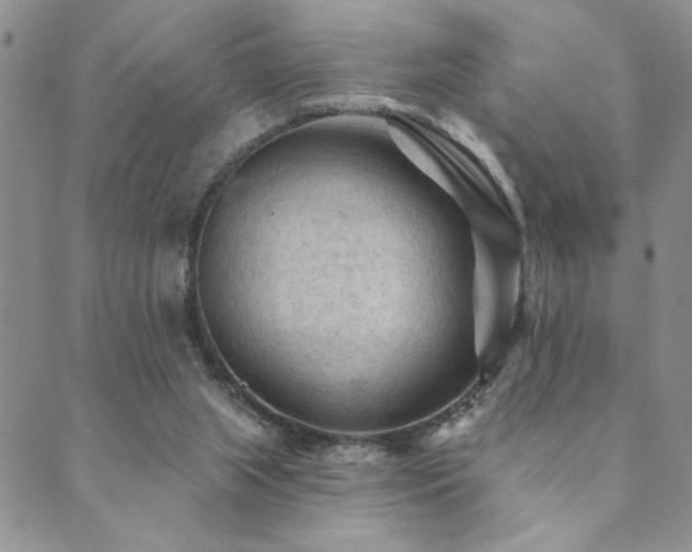X0000089680063200706211235