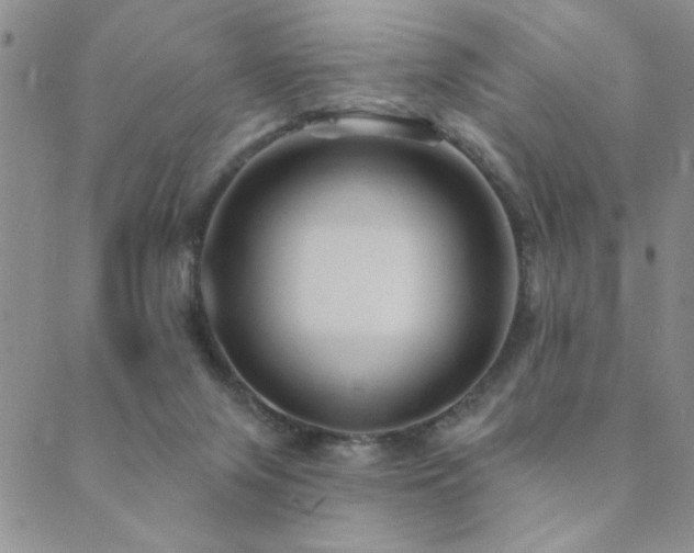 X0000089680071200706211235