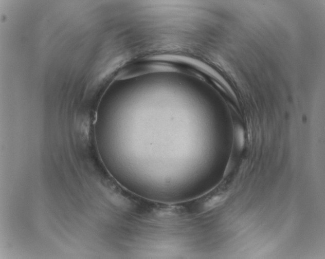 X0000089680072200706211235