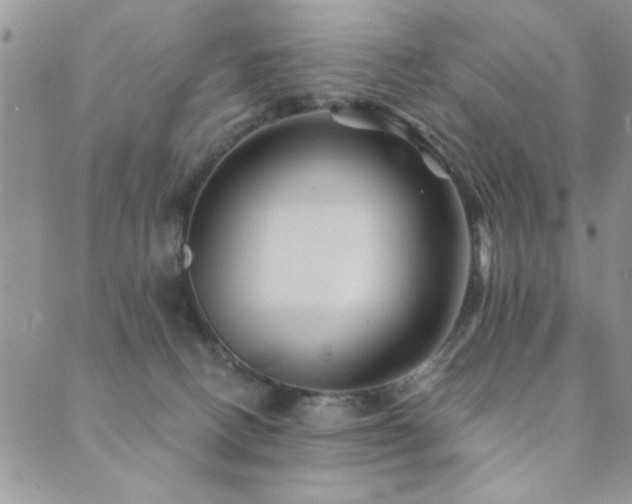 X0000089680082200706211235