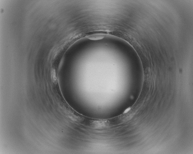 X0000089680089200706211236