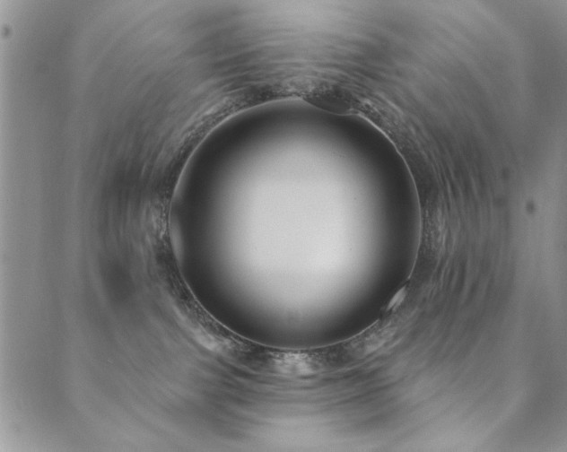 X0000089680091200706211236