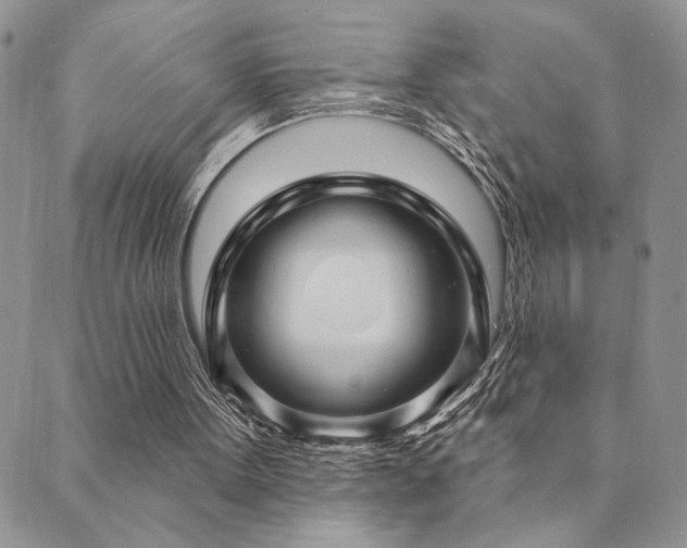 X0000089680099200706211235
