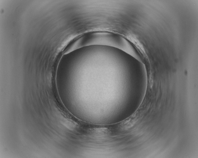 X0000089680108200706211235