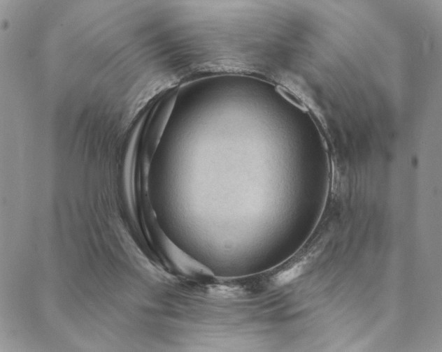 X0000089680109200706211235