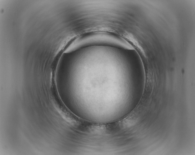 X0000089680110200706211235