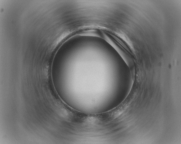 X0000089680111200706211235