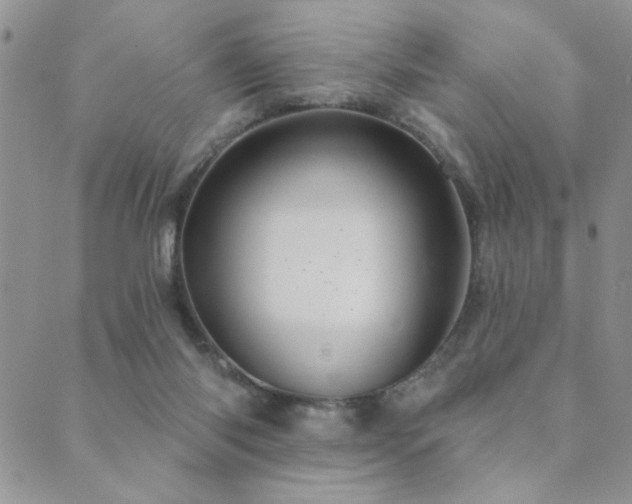 X0000089680118200706211235