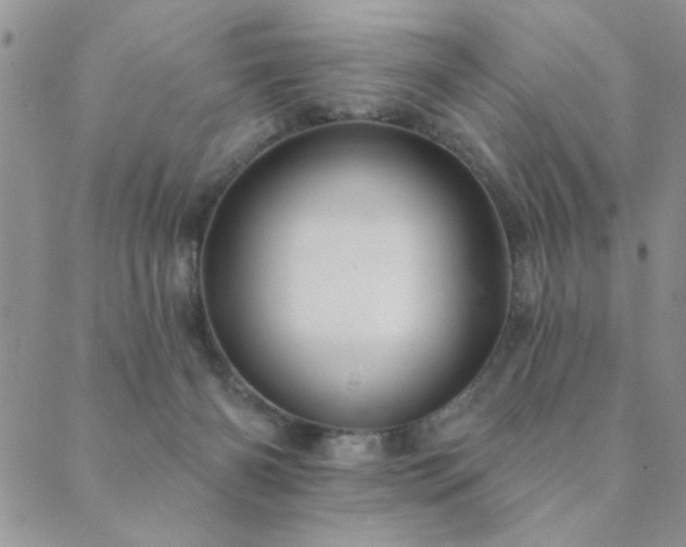 X0000089680126200706211234