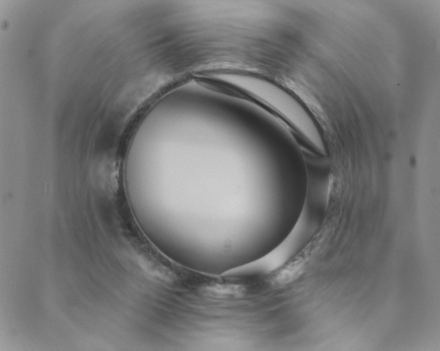X0000089680160200706211234