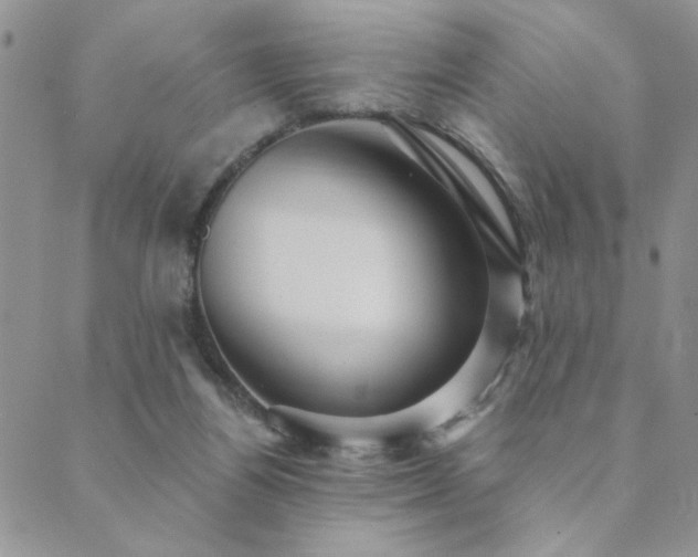 X0000089680164200706211234