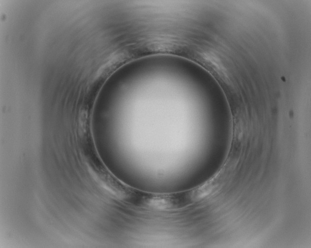 X0000089680171200706211234