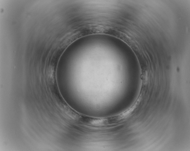 X0000089680178200706211234