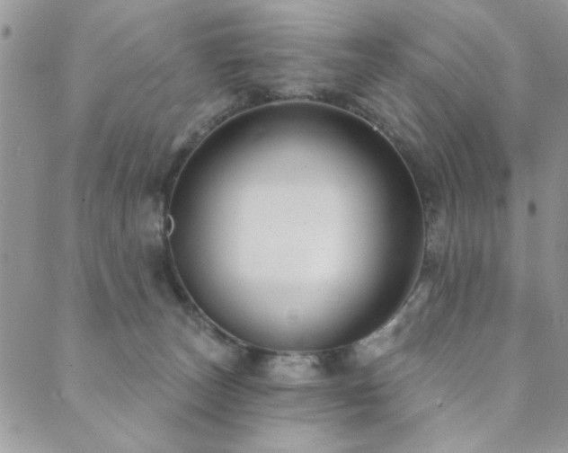 X0000089680179200706211234