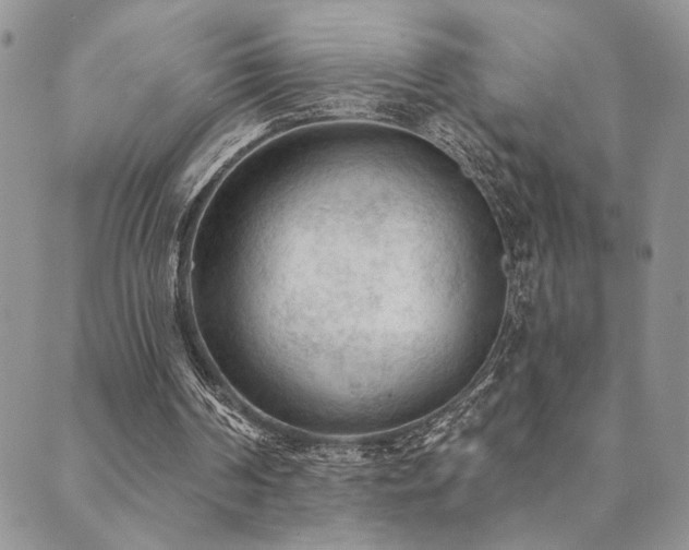 X0000089680194200706211233