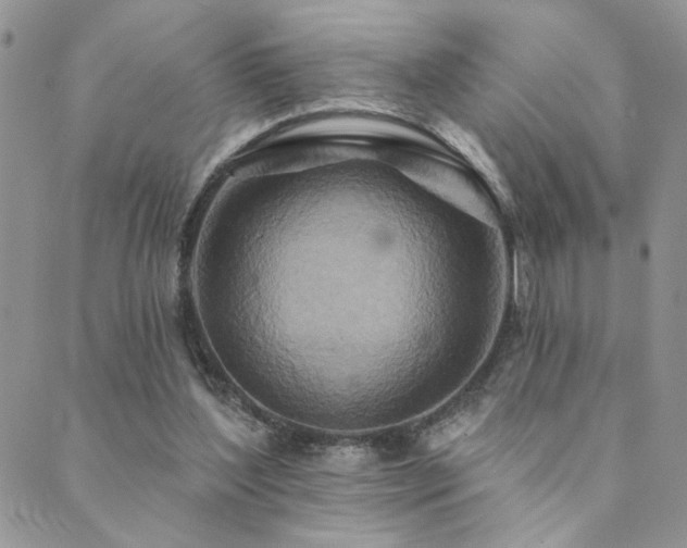 X0000089680204200706211233