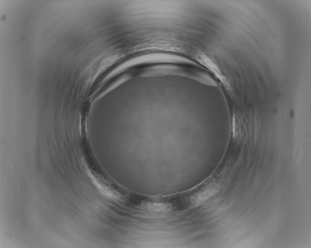 X0000089680205200706211233
