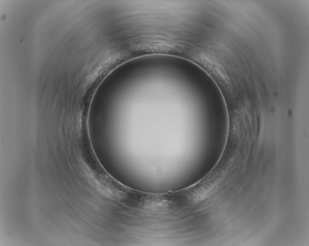 X0000089680206200706211233