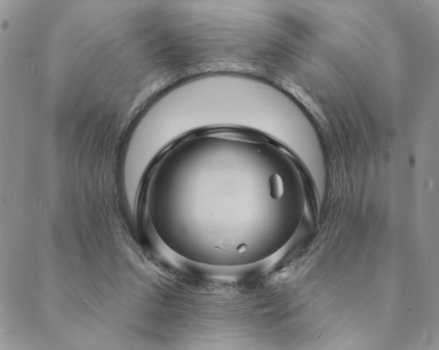 X0000089680207200706211233