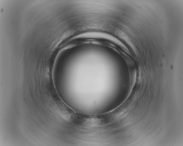 X0000089680212200706211233