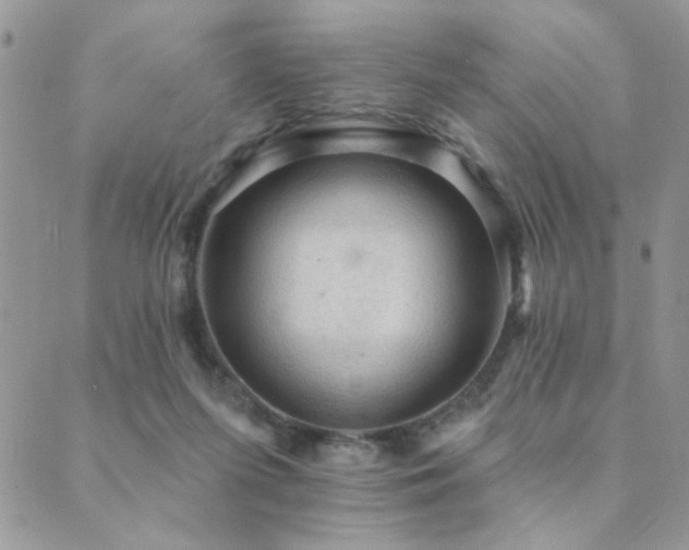 X0000089680215200706211233