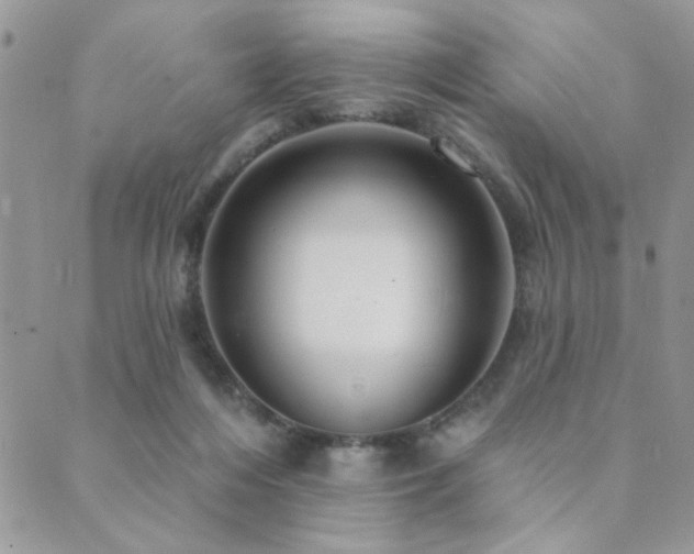 X0000089680216200706211233