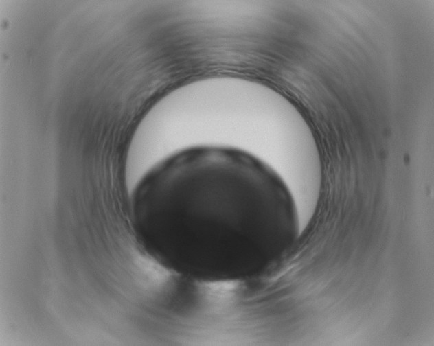 X0000089680219200706211233