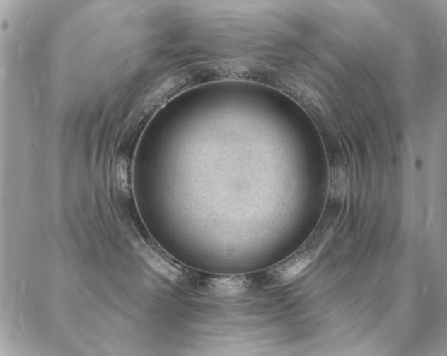 X0000089680238200706211233