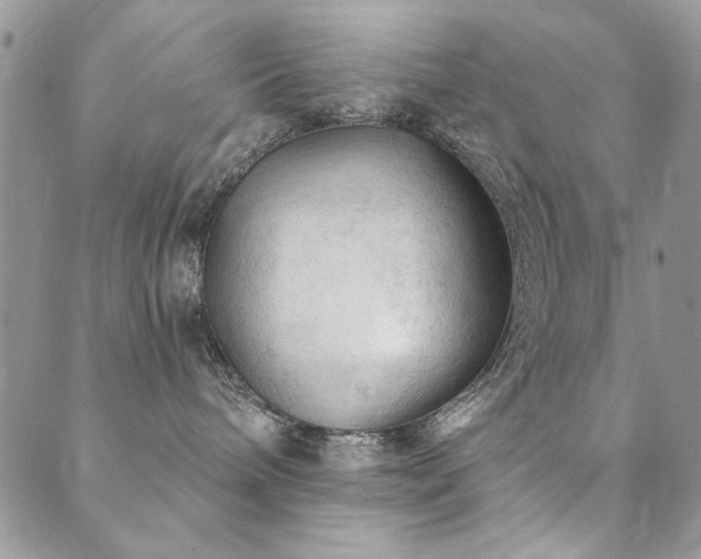 X0000089680240200706211233
