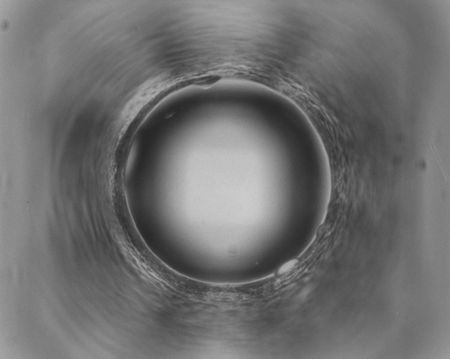 X0000089680242200706211232
