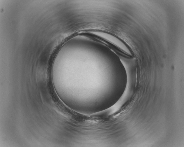 X0000089680252200706211232