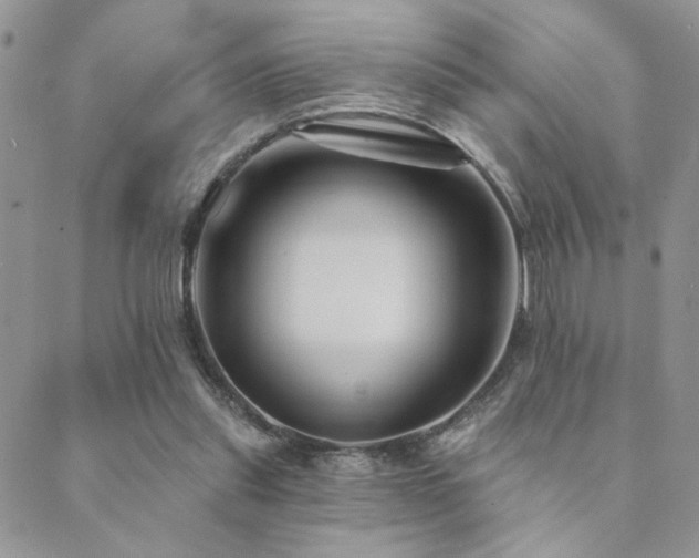 X0000089680253200706211232