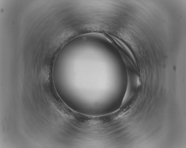 X0000089680255200706211232