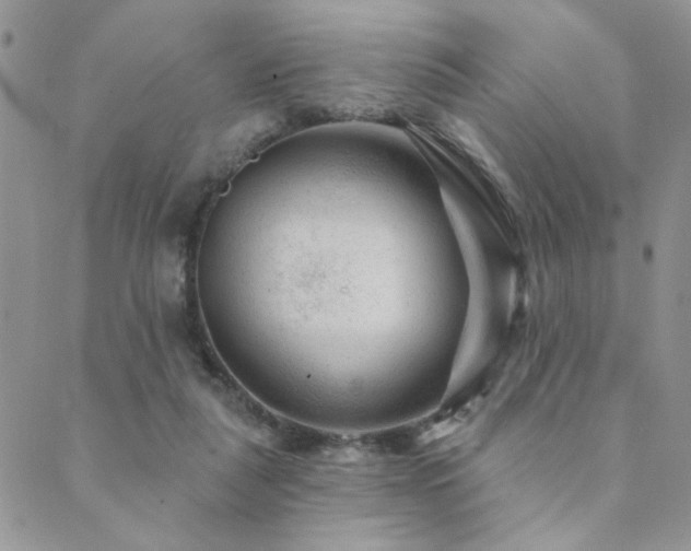 X0000089680259200706211232