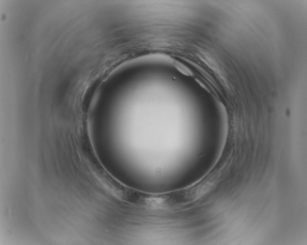 X0000089680265200706211232
