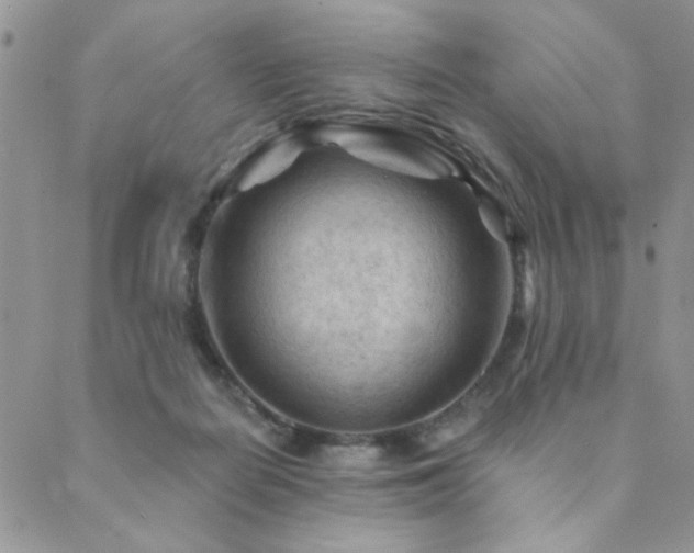 X0000089680266200706211232