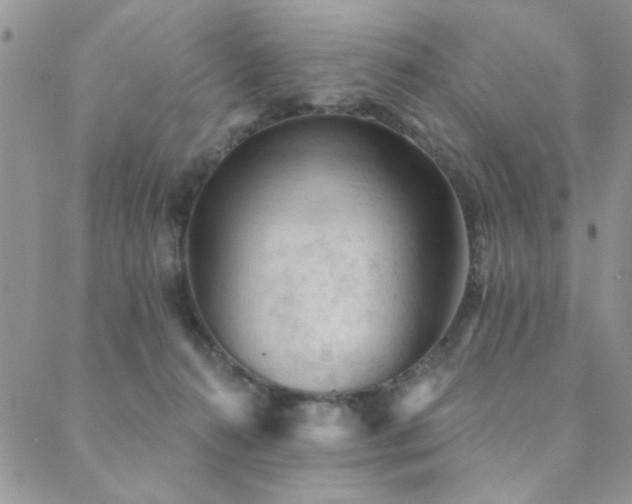X0000089680272200706211232