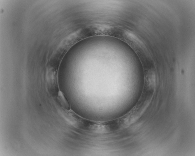 X0000089680276200706211232