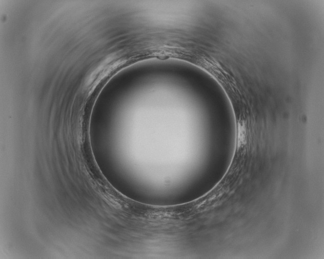 X0000089680291200706211232