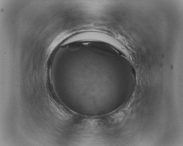 X0000089680295200706211232