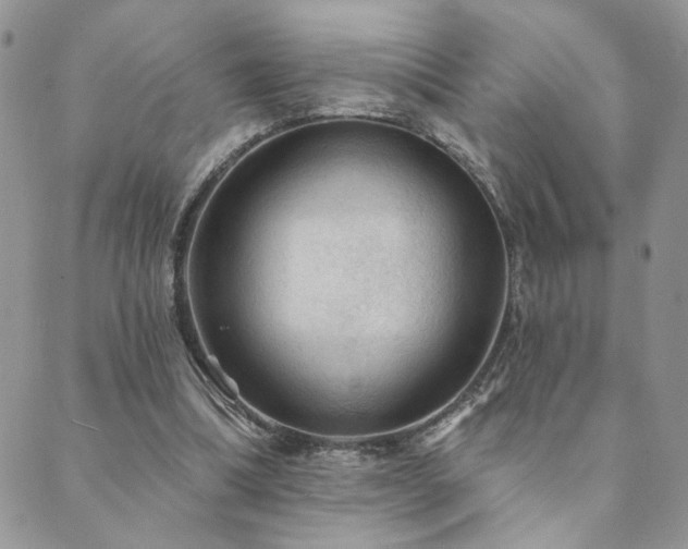 X0000089680298200706211232