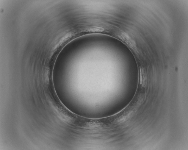 X0000089680300200706211232